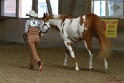 22-APHA HOTC_010